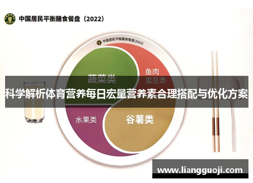 科学解析体育营养每日宏量营养素合理搭配与优化方案