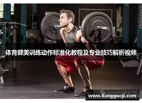 体育健美训练动作标准化教程及专业技巧解析视频