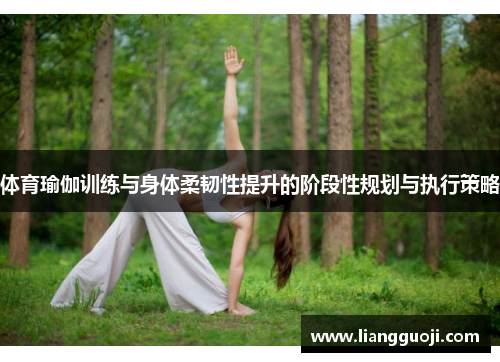 体育瑜伽训练与身体柔韧性提升的阶段性规划与执行策略